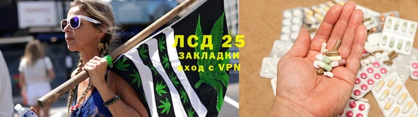 a pvp Богданович