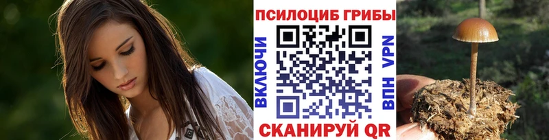 Купить  Орехово-Зуево  Галлюциногенные грибы Psilocybe 